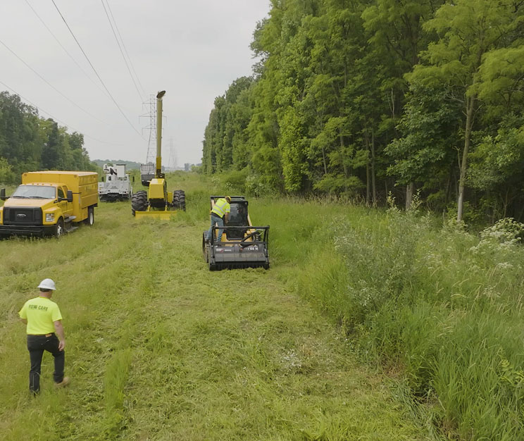 Members of the Row-Care team on the job in a large field of grass surrounded by shrubbery and brush. They wear safety gear and are near several construction trucks.