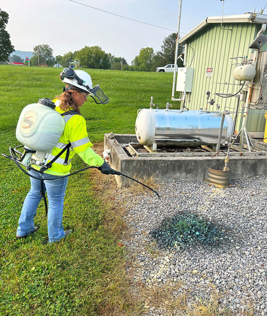 A Row-Care team member wears a white hard hat and a tank of herbicide as she uses an attached hose to spray a green chemical onto a patch of gravel.