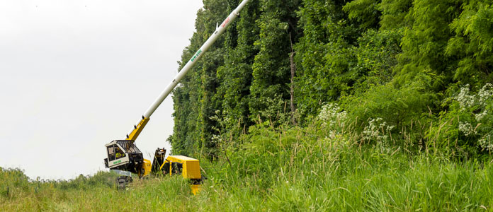 A yellow Row-Care trimmer with its white arm outstretched toward a line of trees in a field.